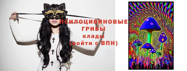 метадон Ельня