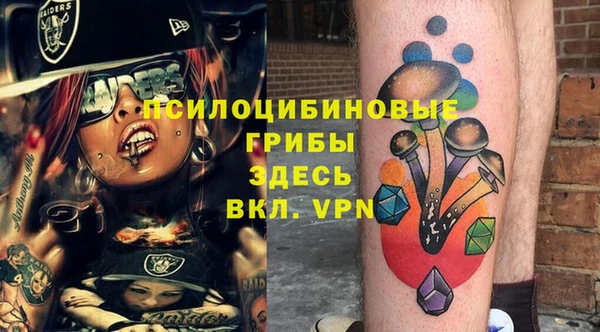мдпв Елизово