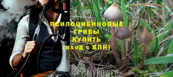 мдпв Елизово