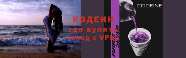 мдпв Елизово
