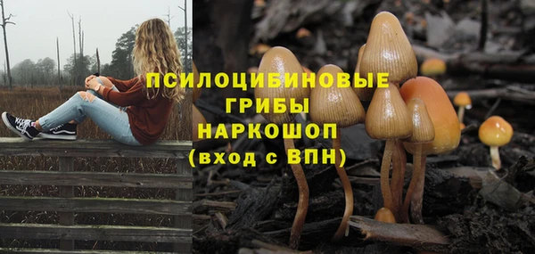 мдпв Елизово