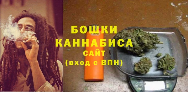мдпв Елизово