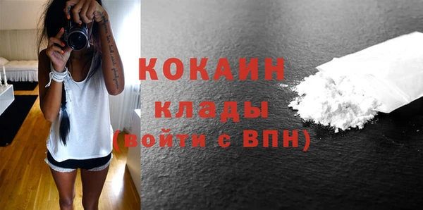 мдпв Елизово