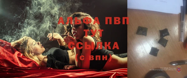 метадон Ельня