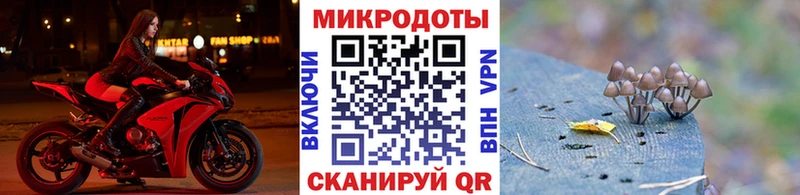 Галлюциногенные грибы Psilocybe  закладка  гидра ссылки  Зеленоградск 